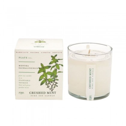 Plant The Box Candle 283gr- Crushed Mint